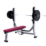 ������� �������� Life Fitness Olympic Flat Bench SOFB 