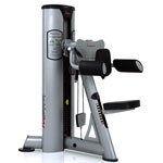 ������� �������� FreeMotion GZFI8166E / LATERAL RAISE