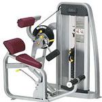  Cybex Eagle Back Extension 11101_11100 