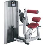 ������� �������� Life Fitness Signature Back Extension