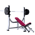 ������� �������� Life Fitness Olympic Incline Bench SOIB