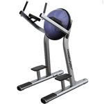 ������� �������� Life Fitness Leg Raise SLR-W