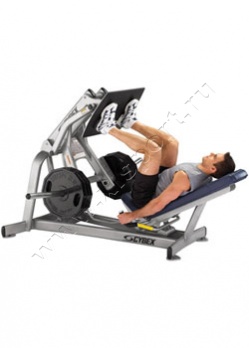 ������� �������� Cybex 16150 Squat Press