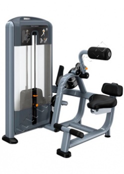 ������� �������� Precor DSL313 Back Extension 