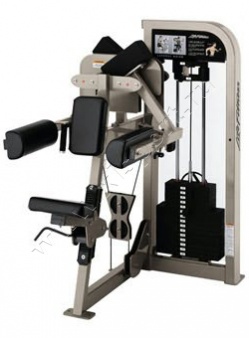 ������� �������� Life Fitness PRO2 Lateral Raise
