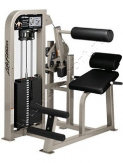 ������� �������� Life Fitness PRO2 Back Extension